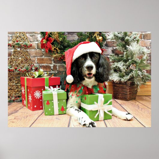Kerstmis - English Springer Spaniel - Lucy Poster (Voorkant)