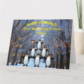 Kerstmis Familie van Pinguïns die Plezier hebben Kaart (Voorkant)