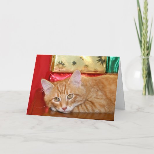 Kerstmis Feestdagen Kaart (Voorkant)