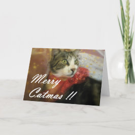 Kerstmis Feestdagen Kaart