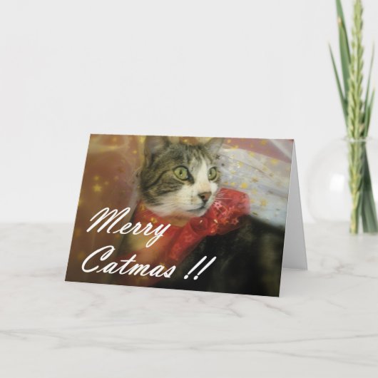 Kerstmis Feestdagen Kaart (Voorkant)