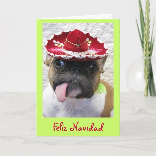 Kerstmis Feestdagen Kaart (Voorkant)