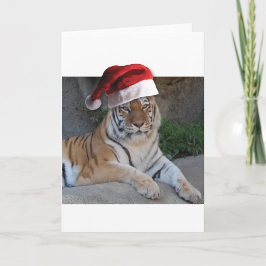 Kerstmis Feestdagen Kaart (Voorkant)