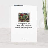 Kerstmis Feestdagen Kaart (Achterkant)