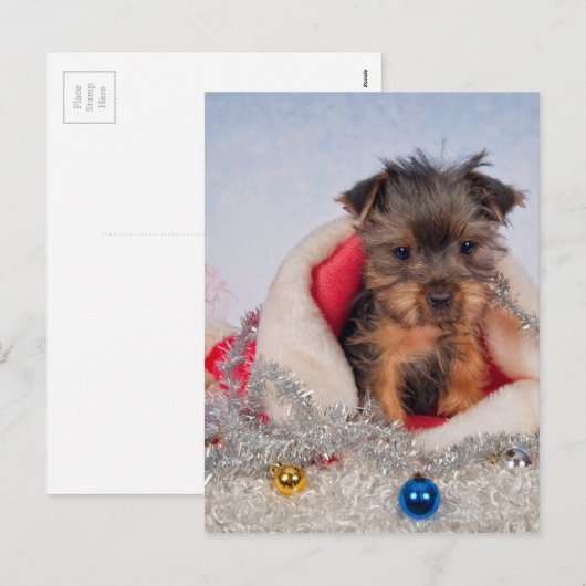 Kerstmis Feestdagenkaart (Voorkant / Achterkant)