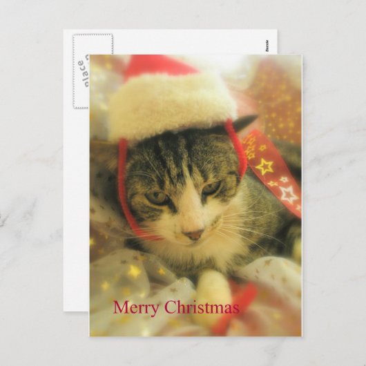 Kerstmis Feestdagenkaart (Voorkant / Achterkant)