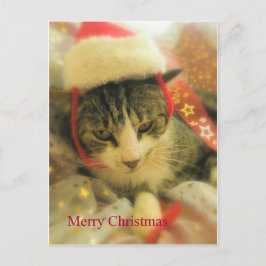 Kerstmis Feestdagenkaart