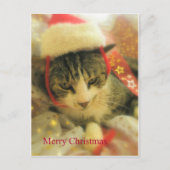 Kerstmis Feestdagenkaart (Voorkant)