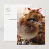 Kerstmis Feestdagenkaart (Voorkant / Achterkant)