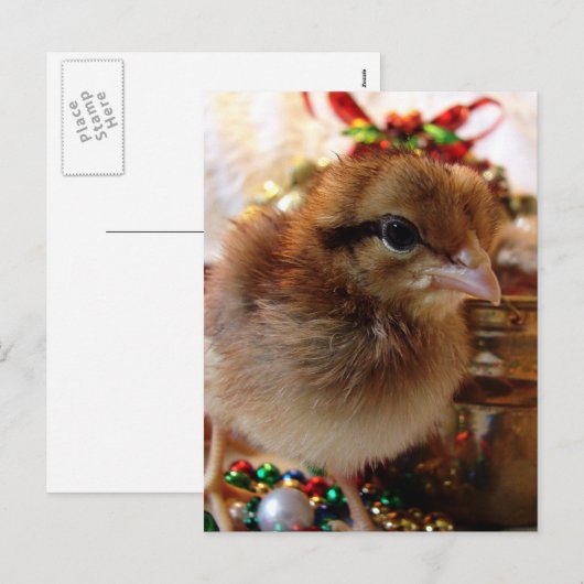 Kerstmis Feestdagenkaart (Voorkant / Achterkant)