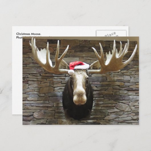 Kerstmis Feestdagenkaart (Voorkant / Achterkant)