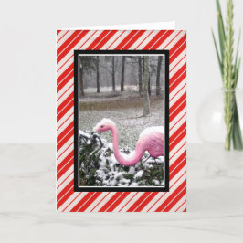 Kerstmis Flamingo Wenskaart Feestdagen Kaart