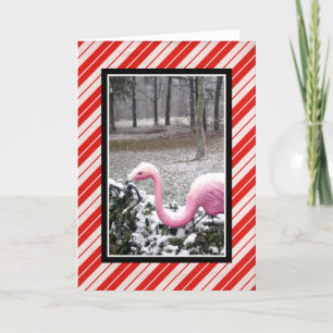 Kerstmis Flamingo Wenskaart Feestdagen Kaart