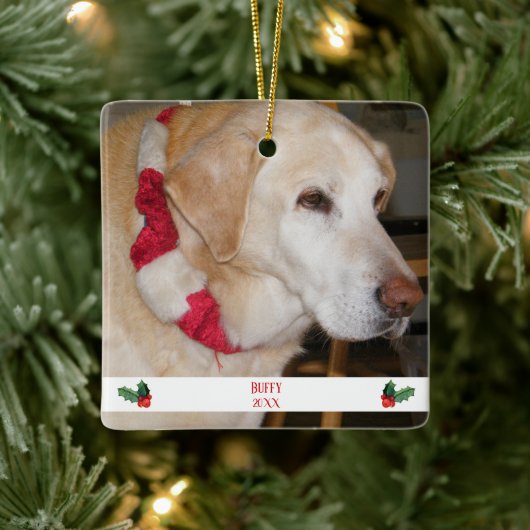 Kerstmis foto's: rood en wit keramisch ornament (Boom)