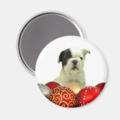Kerstmis Franse Bulldog puppy Magneet (Voorkant / Achterkant)