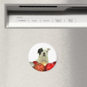 Kerstmis Franse Bulldog puppy Magneet (Insitu (Vaatwasser))
