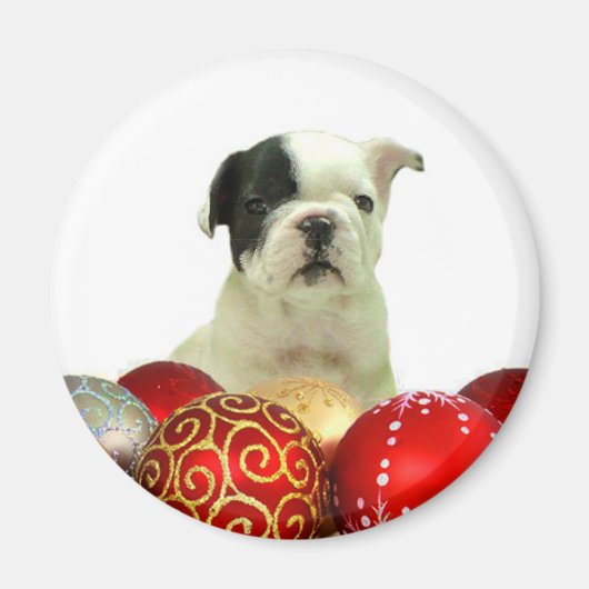 Kerstmis Franse Bulldog puppy Magneet (Voorkant)