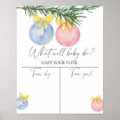 Kerstmis Geslacht onthullen Boy of meisje grafiek Poster (Voorkant)