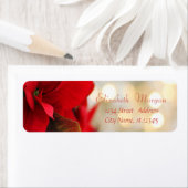 Kerstmis, Gold Bokeh, Poinsettia Etiket (Insitu)