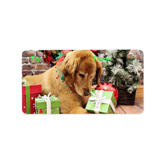 Kerstmis - Golden Retriever - Addison Etiket (Voorkant)