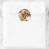 Kerstmis - Golden Retriever - Addison Ronde Sticker (Tas)