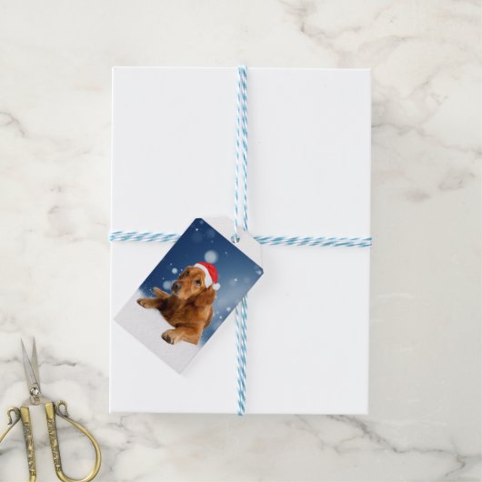 Kerstmis: Golden Retriever Dog Santa Hat Snow Cadeaulabel (Met Touw)