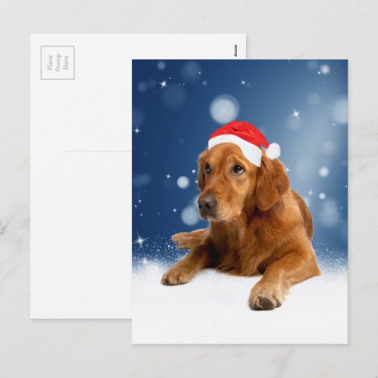 Kerstmis: Golden Retriever Dog Santa Hat Snow Feestdagenkaart (Voorkant / Achterkant)