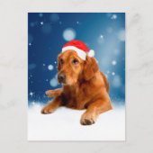 Kerstmis: Golden Retriever Dog Santa Hat Snow Feestdagenkaart (Voorkant)