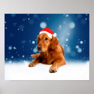 Kerstmis: Golden Retriever Dog Santa Hat Snow Poster