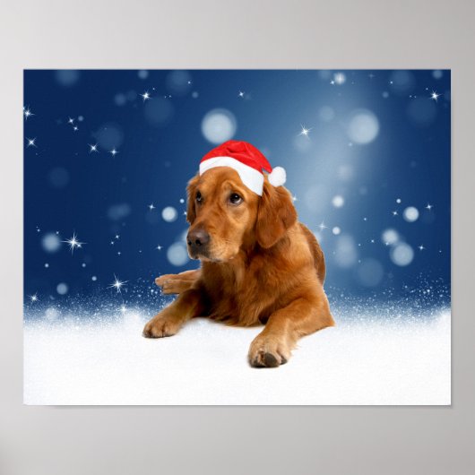 Kerstmis: Golden Retriever Dog Santa Hat Snow Poster (Voorkant)