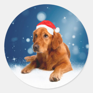 Kerstmis: Golden Retriever Dog Santa Hat Snow Ronde Sticker