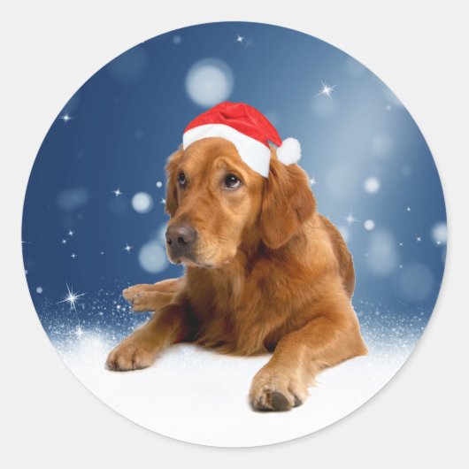 Kerstmis: Golden Retriever Dog Santa Hat Snow Ronde Sticker (Voorkant)