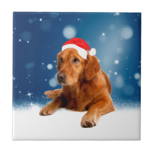 Kerstmis: Golden Retriever Dog Santa Hat Snow Tegeltje
