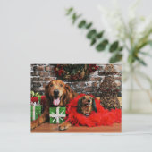 Kerstmis - Golden Retriever Max - Doxie - Chloe Feestdagenkaart (Staand voorkant)