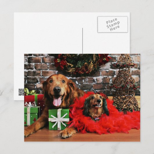 Kerstmis - Golden Retriever Max - Doxie - Chloe Feestdagenkaart (Voorkant / Achterkant)