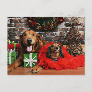 Kerstmis - Golden Retriever Max - Doxie - Chloe Feestdagenkaart