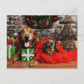 Kerstmis - Golden Retriever Max - Doxie - Chloe Feestdagenkaart (Voorkant)