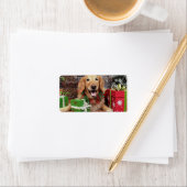 Kerstmis - Golden Retriever - Sidney Etiket (Insitu)