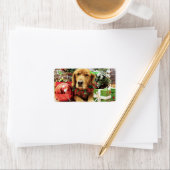 Kerstmis - Golden Retriever - Zoe Etiket (Insitu)