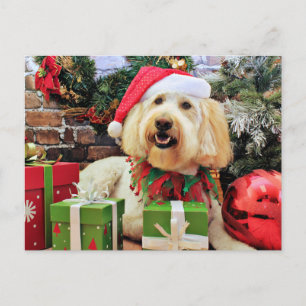 Kerstmis - GoldenDoodle - Bella Feestdagenkaart
