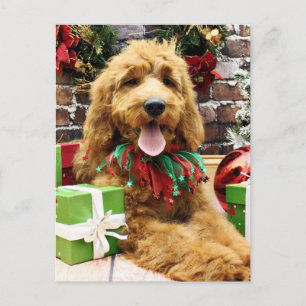 Kerstmis - GoldenDoodle - Claire Feestdagenkaart