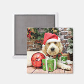 Kerstmis - GoldenDoodle - Gus Magneet (Voorkant / Achterkant)