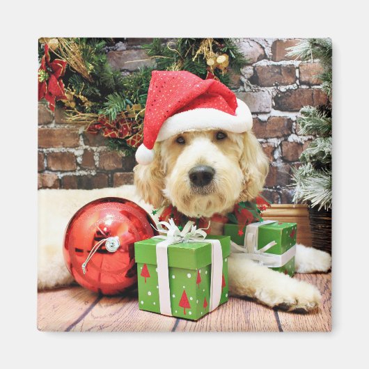 Kerstmis - GoldenDoodle - Gus Magneet (Voorkant)