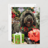 Kerstmis - GoldenDoodle - het Nederlands Feestdagenkaart (Voorkant / Achterkant)