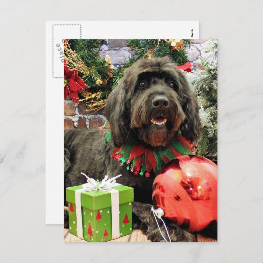 Kerstmis - GoldenDoodle - het Nederlands Feestdagenkaart (Voorkant / Achterkant)