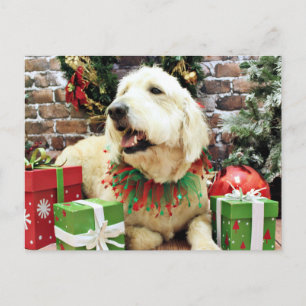 Kerstmis - GoldenDoodle - Lacey Feestdagenkaart