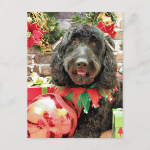 Kerstmis - GoldenDoodle - Pearl Jam Feestdagenkaart
