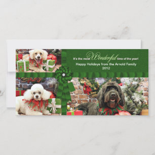 Kerstmis - GoldenDoodle Poedel Cockapoo - Arnold Feestdagenkaart