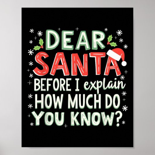 Kerstmis Grappig Beste Kerstman Voordat Ik Uitleg Poster (Voorkant)