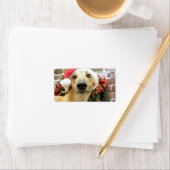 Kerstmis - Greyhound - Pena Etiket (Insitu)